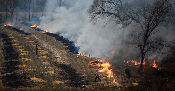 秸秆监测信息化∙筑牢禁烧“防火墙”